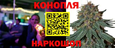 прущие крисы Обь